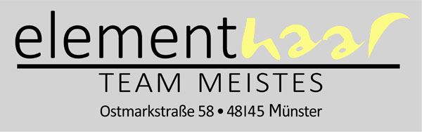 Meistes Logo